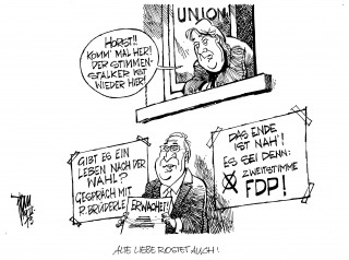 FDP-Wahlkampf: Die FDP setzt auf die Zweitstimmenkampagne