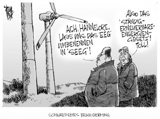 Reform der Energiewende: Union und SPD wollen Kürzungen bei der Hilfe für Windkraftanlagen. EEG.