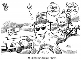 NSA spioniert Unterwasserkabel aus: Der US-Geheimdienst spioniert das Unterwasserkabel zwischen Europa,Nordafrika und Asien aus.